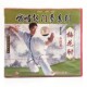 1VCD碟片 俏佳人正版 梅花肘 峨嵋赵门拳系列 肖清黄 武术教学光盘