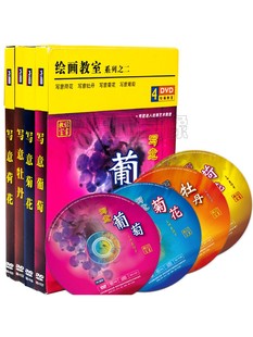 绘画二国画写意荷花牡丹菊花葡萄技巧水墨画教学碟片4DVD光盘