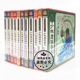 少林鹰派拳术系列全套14VCD主讲 俏佳人正版 武术碟片 杨维