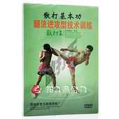 DVD 散打基本功 腿法进攻型技术训练 光盘教学光碟视频教程碟片