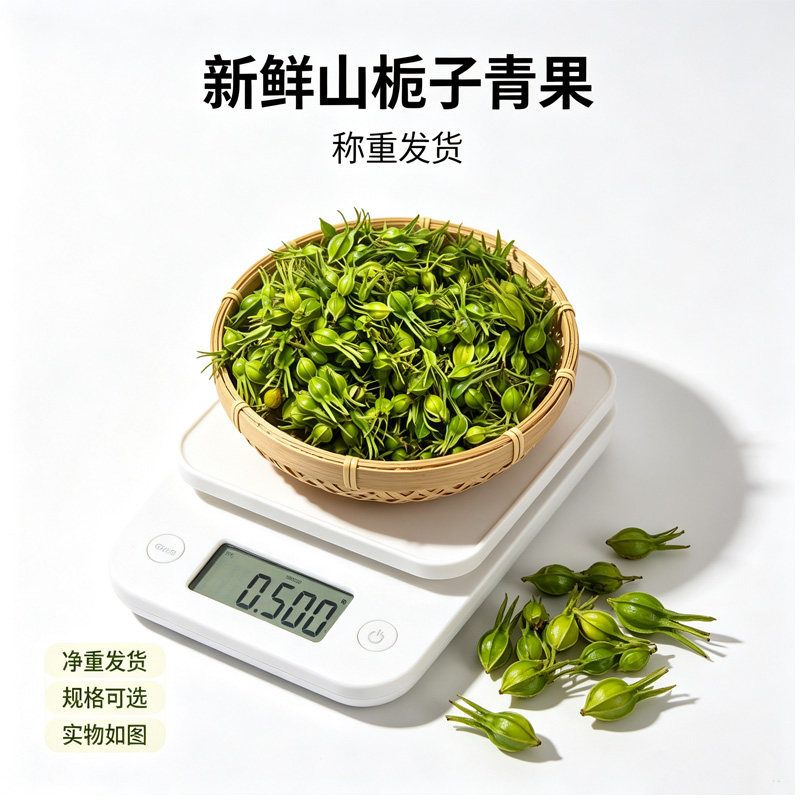 黄栀子青果山栀子鲜果新鲜栀子果