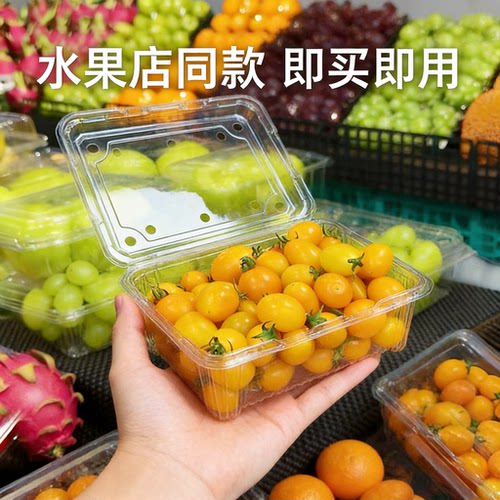 一次性水果保鲜盒便携食品级果切打包盒露营野餐透明塑料盒子