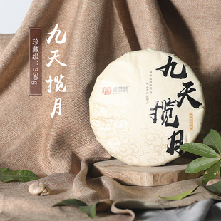 高山白牡丹饼茶350克 九天揽月白牡丹 鼎茗荟 福鼎白茶饼