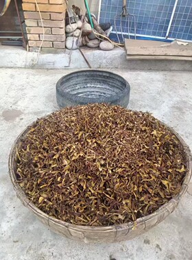 原生态无公害农产品加工设备牛肝菌刷把菌各种杂菌随机任意6种