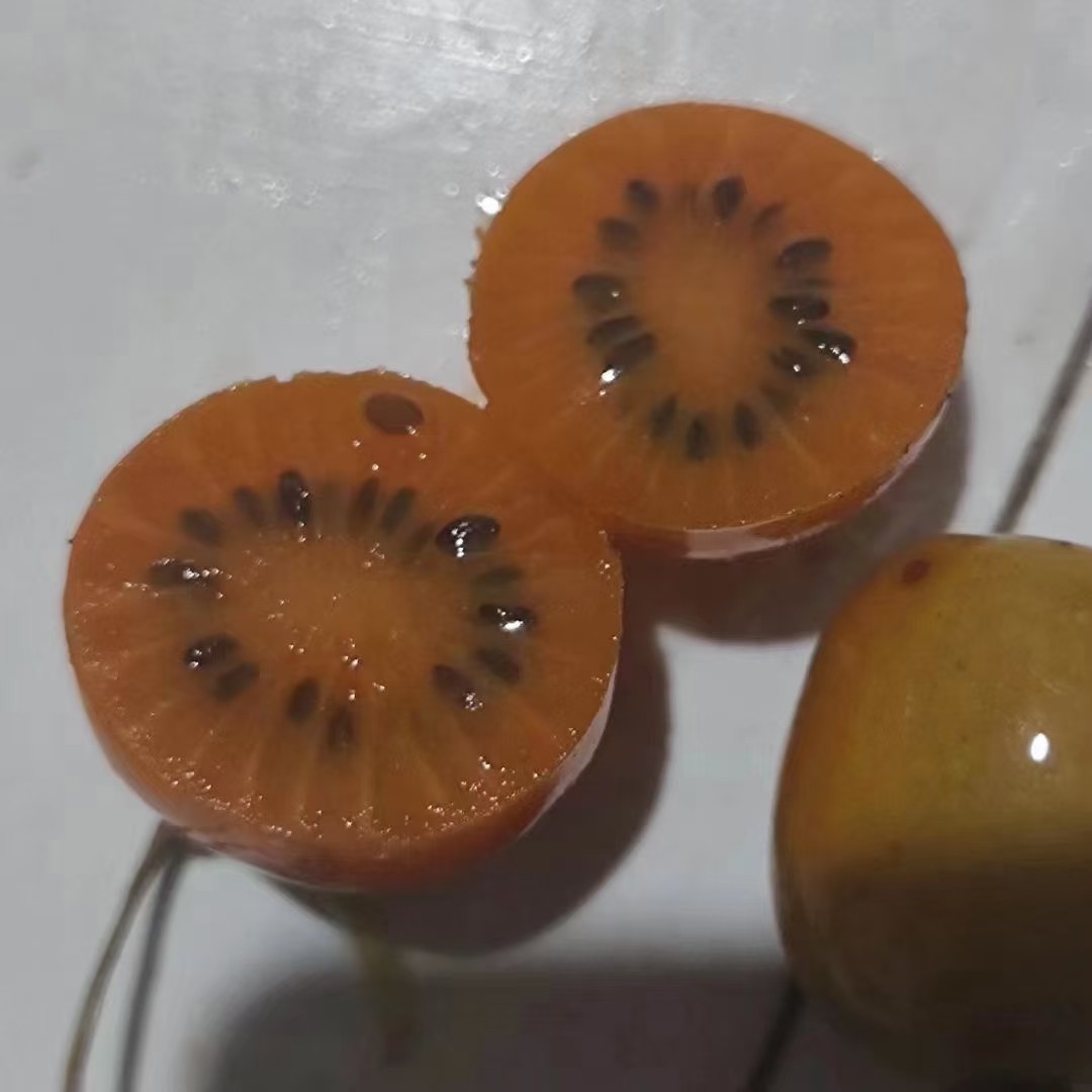 各种猕猴桃农产品加工设备辣味京梨大籽革叶软枣狗枣,机械设备,制药设备,淘宝优惠券,粉丝福利购,淘宝优惠卷