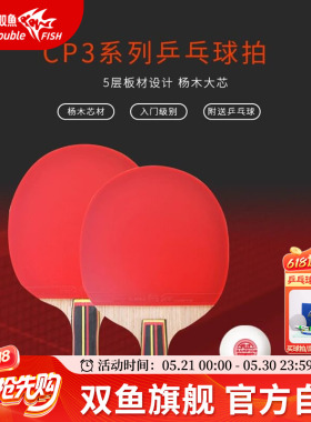 双鱼乒乓球拍冠军CP3儿童球拍乒乓球小学生专用单拍直横拍乒乓拍