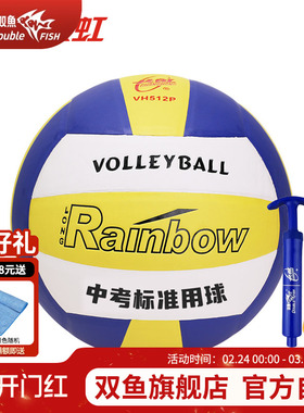 双鱼长虹5号排球软式硬排中考标准用球VH512P 高考标准VH508P