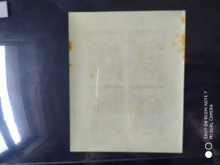 老挝1973年童子军大会纪念邮票样张3全新