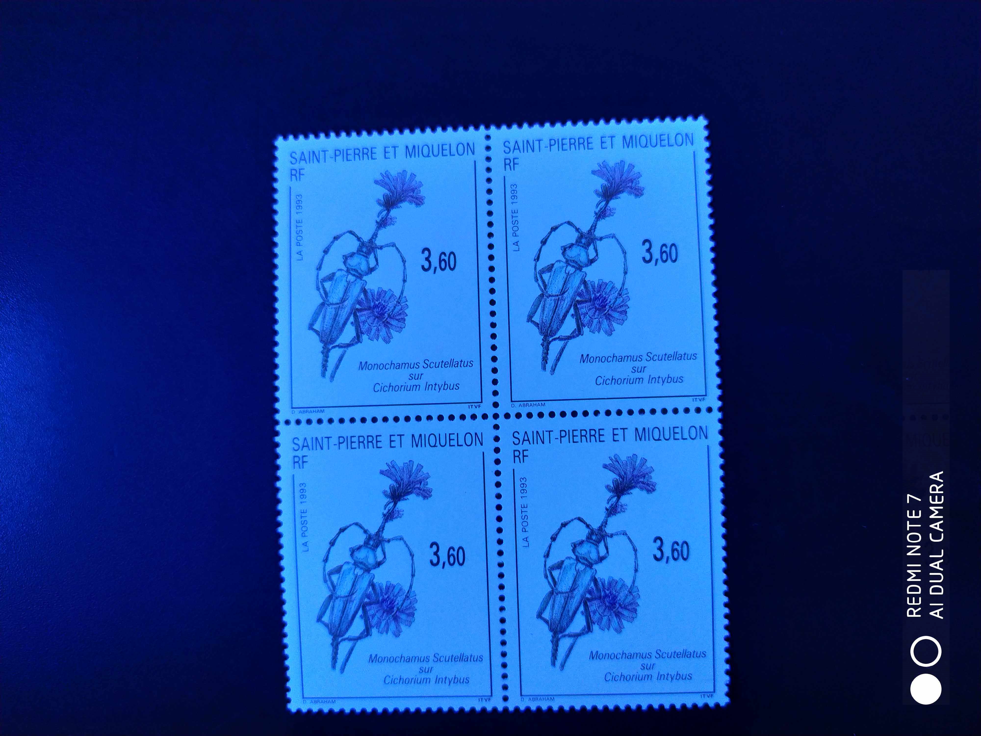 圣皮埃尔和密克隆1993年昆虫与花卉天牛菊苣邮票1全新四方连