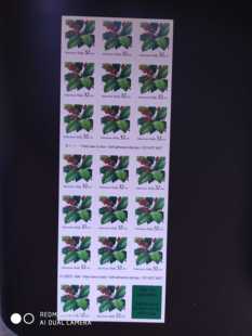 美国1997年冬青树不干胶邮票小本票1全新