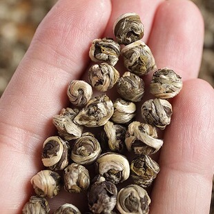 新茶茉莉花茶小寿元 5窨 白毫显现 芽珠 含芽 100g