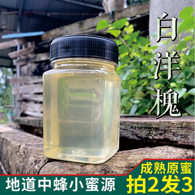野生中蜂白洋槐花土蜂蜜纯正天然农家自产比水白洋槐蜜高成熟原蜜