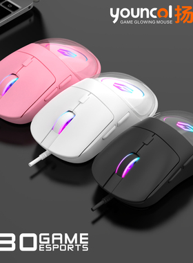 扬彩Q30电竞机械游戏鼠标有线USB宏编程台式笔记本电脑吃鸡CFLOL