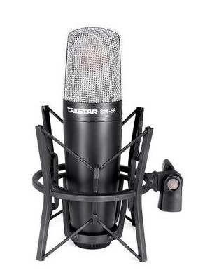 Takstar/得勝 SM-5B-L 旁述式 錄音麥克風 K歌電容麥 話筒包郵