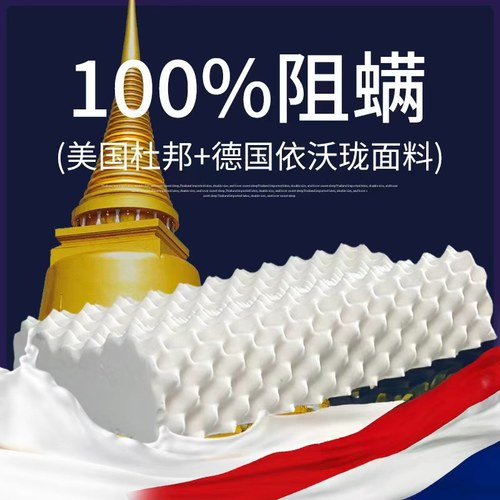 【100%阻螨】泰国天然乳胶枕防螨