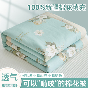 新疆棉花夏凉被全棉纯棉夏被空调被可机洗单双人夏季 被子被芯 薄款