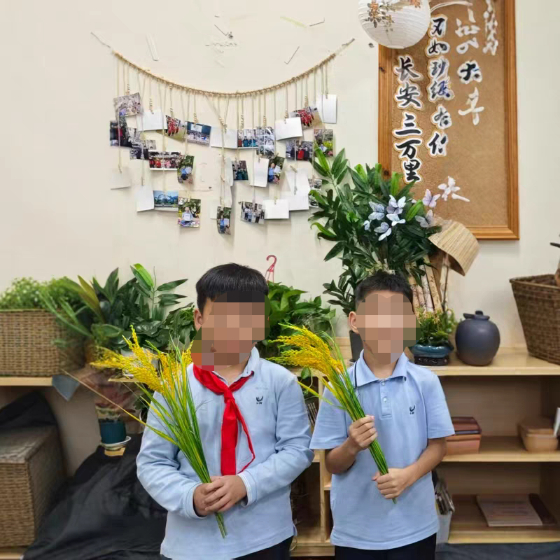 仿真稻穗稻谷水稻大麦麦穗