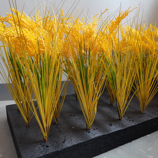 高仿真稻穗稻谷水稻大麦麦穗  麦田稻田成熟期水稻稻穗 试验田