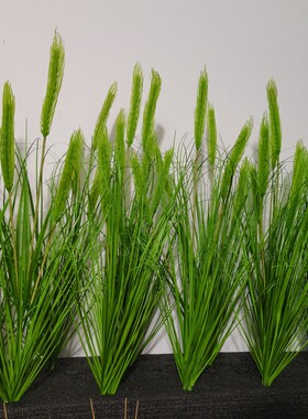 高仿真青稞麦子小麦大麦麦穗  假花植物麦田装饰道具麦穗道具教具