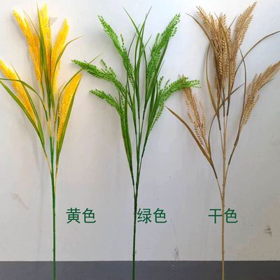 塑料稻谷大麦一体成形不变形