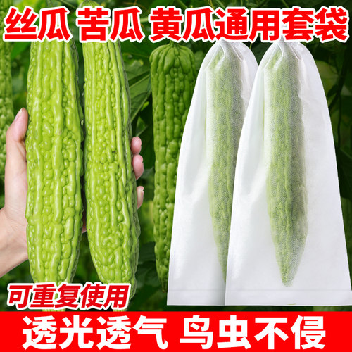 无纺布苦瓜专用套袋黄瓜保护袋