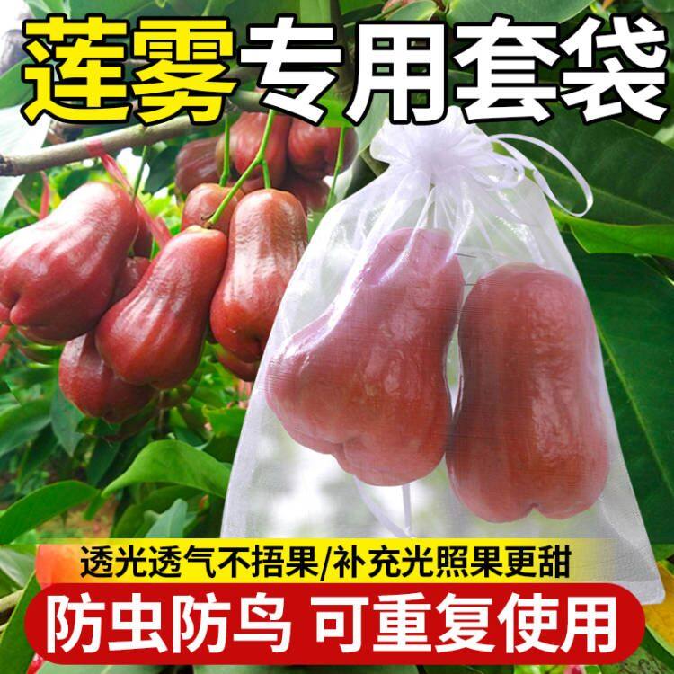 莲雾水果套袋防鸟网纱袋防虫专用袋枇杷葡萄桃子草莓保护袋种植,鲜花速递/花卉仿真/绿植园艺,其它园艺用品,淘宝优惠券,粉丝福利购,淘宝优惠卷