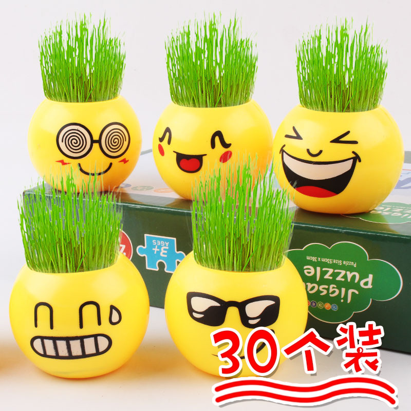 头顶长草种植盲盒科学观察儿童三年级礼物小学生幼儿园实用小礼品