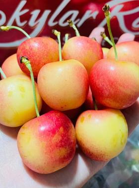 现货4J智利斯凯拉雷黄金车厘子Skylar Rae４斤原箱新鲜水果包顺丰