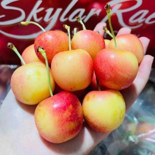 现货4J智利斯凯拉雷黄金车厘子Skylar Rae４斤原箱新鲜水果包顺丰