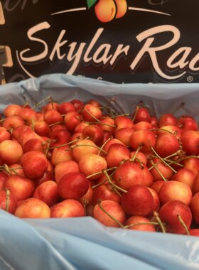 现货4J美国斯凯拉雷黄金车厘子Skylar Rae４斤原箱新鲜水果包顺丰