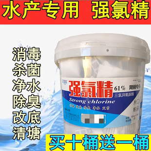 强氯精水产养殖鱼塘消毒杀菌虾蟹池净水改底清塘三氯片粉颗粒除臭
