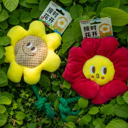 【买四送一】宠物玩具狗咬绳结笑脸花狗玩具耐咬磨牙洁齿棉绳训练