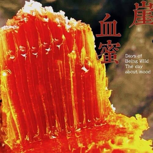 悬崖蜜野生蜂蜜纯正天然蜂蜜琥珀血蜜女性滋补红蜂蜜天然成熟蜂蜜