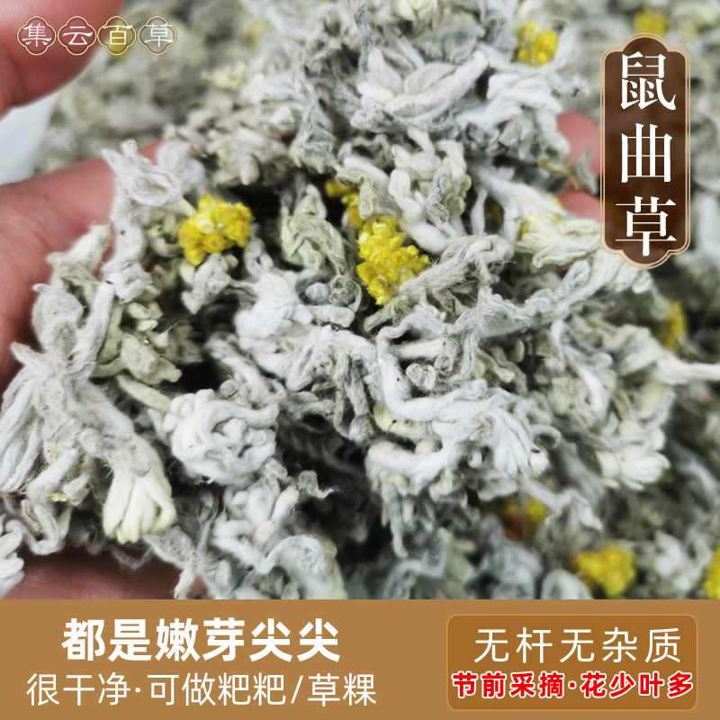野生鼠曲草清明菜 绒毛草果团佛耳草鼠鞠草田艾曲稞青团做粑粑
