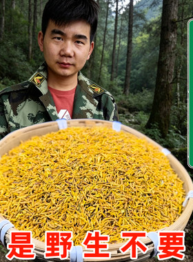 云南野生黄金蕊 高山高海拔新货无硫软黄金牡丹花蕊养生花茶