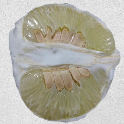 正宗金兰柚子安福蚕子井冈蜜柚