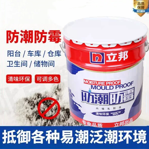 立邦防潮防霉乳胶漆地下室专用涂料内墙防水漆厨卫吊顶阳台仓车库