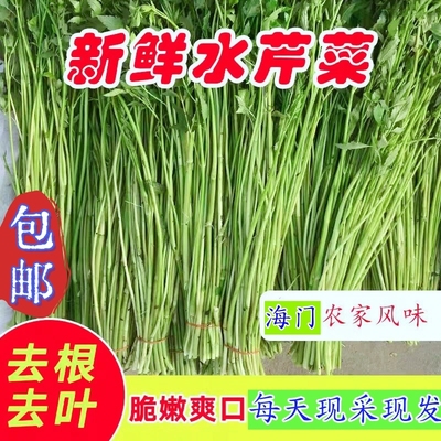 苏北去叶水芹菜新鲜蔬菜时令净菜