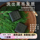 「乌斯曼草侧柏洗发皂」冷制手工皂养发护发蓬松强韧促进头发乌黑