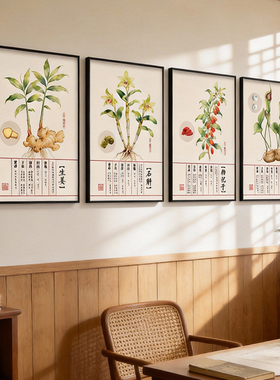 中医养生馆中草药文化墙挂画