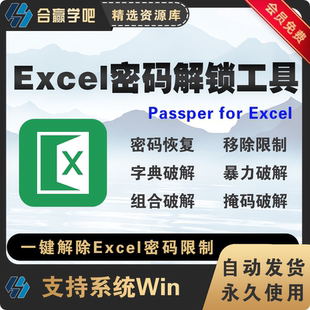 Excel for Win Excel密码 新版 移除表格解锁绿色版 Passper