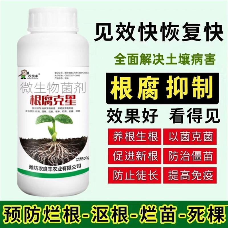 根腐抑制防治死苗烂根根腐病生根壮苗抗重茬土壤杀菌剂微生物菌剂