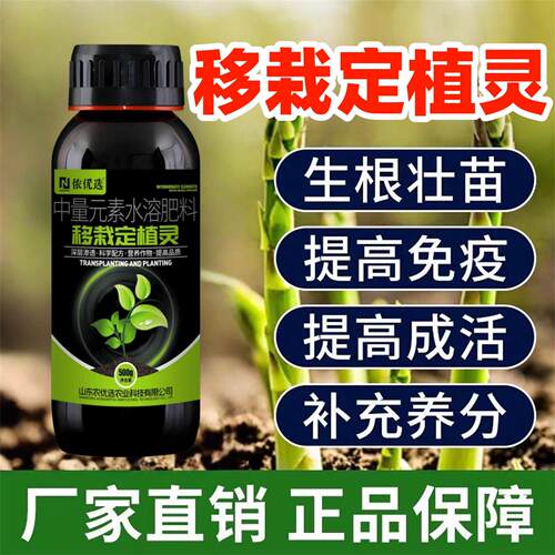 移栽定植灵蔬菜果树花卉移栽通用