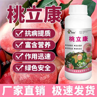 农良丰桃立康桃树病菌清流胶病穿孔桃树杀菌剂改善品质提高免疫力