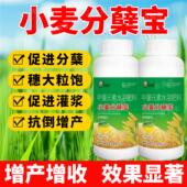 小麦分蘖宝促分蘖促返青促灌浆穗大粒饱抗寒抗旱抗倒伏增产叶面肥