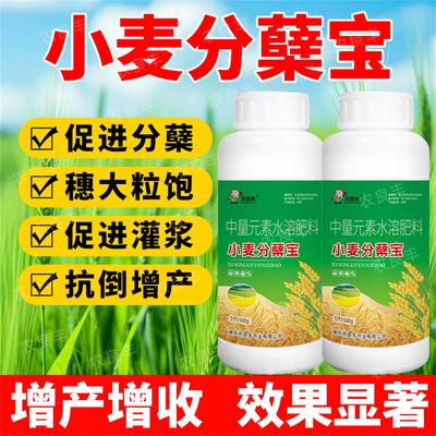 小麦分蘖宝促分蘖促返青增产肥