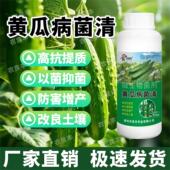 黄瓜病菌清黄瓜专用药靶斑病灰霉病角斑病斑点病杀菌剂微生物菌剂