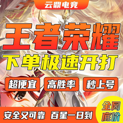 王者荣耀代打排位巅峰赛小国标省标战力代练排位陪玩上分车队