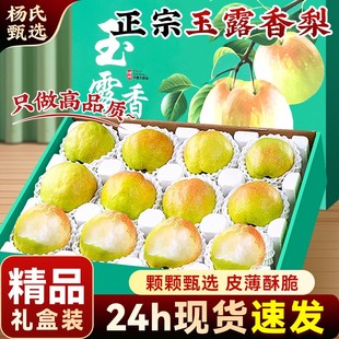 【礼盒装】正宗玉露香梨山西酥新鲜水果9斤当季现摘整箱包邮