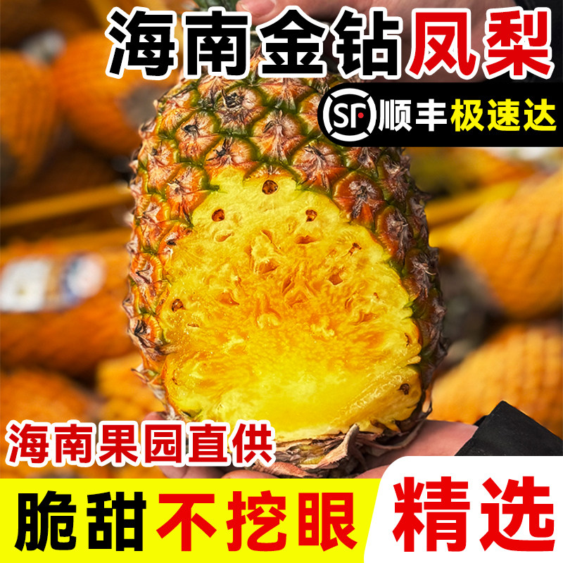 【单颗2.6斤起】正宗海南金钻凤梨当季新鲜水果大菠萝树上熟顺丰